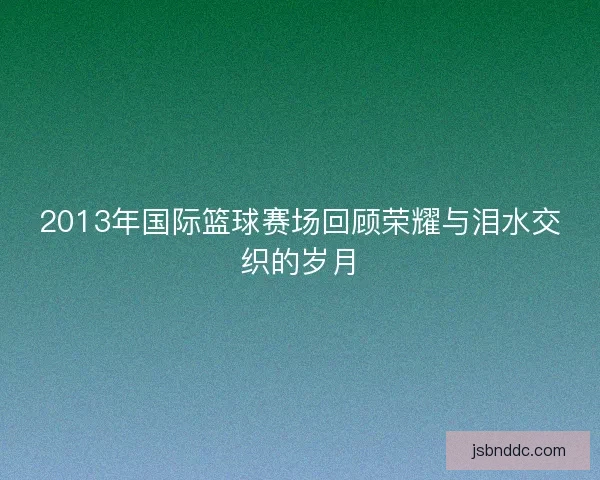 2013年国际篮球赛场回顾荣耀与泪水交织的岁月